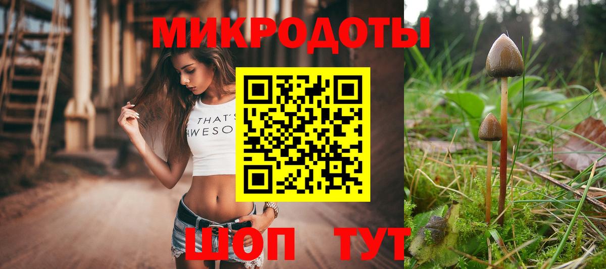 Псилоцибиновые грибы Cubensis  Вход с VPN  Нальчик 